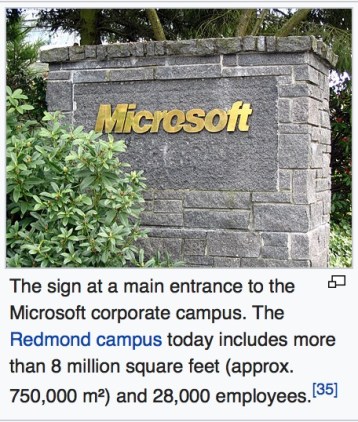 microsoft sign
